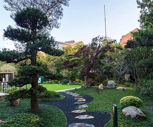 山東大道園林商家推薦 林地與濕地規(guī)劃設(shè)計優(yōu)選指南